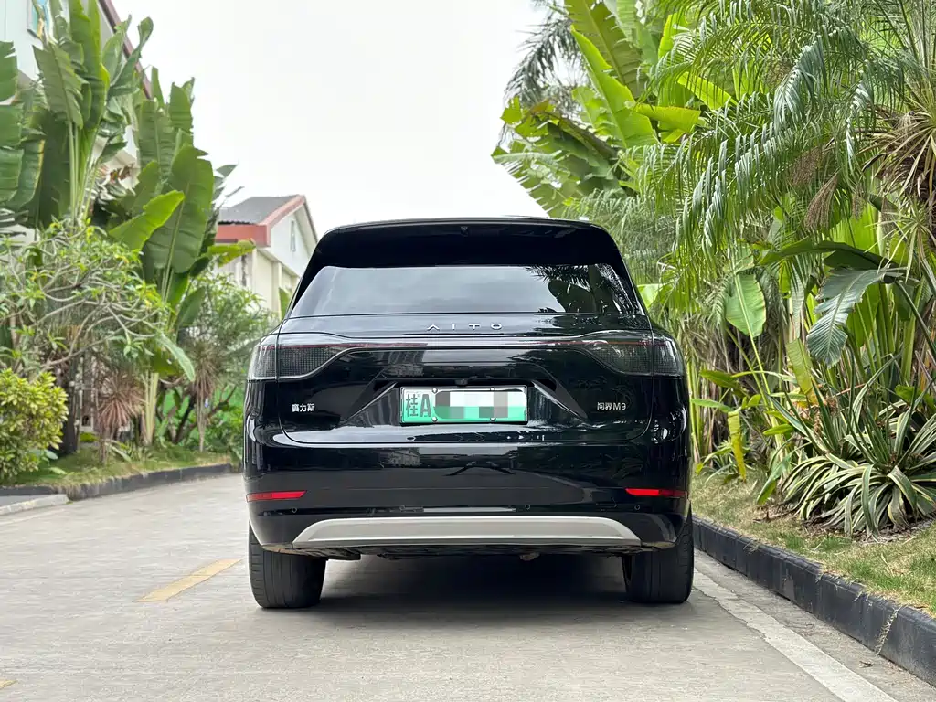 Wenjie M9 2024 extended range Ultra version 42kWh 6-seater version купить на сайте DeffCars