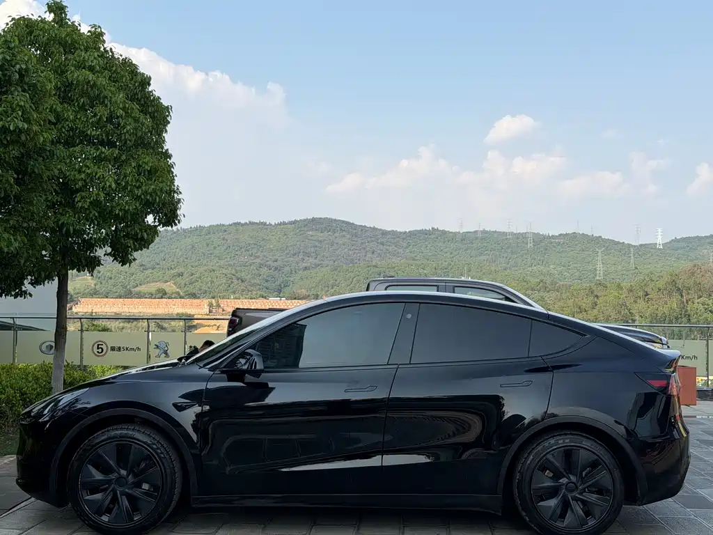 Model Y 2023 rear-wheel drive version купить на сайте DeffCars