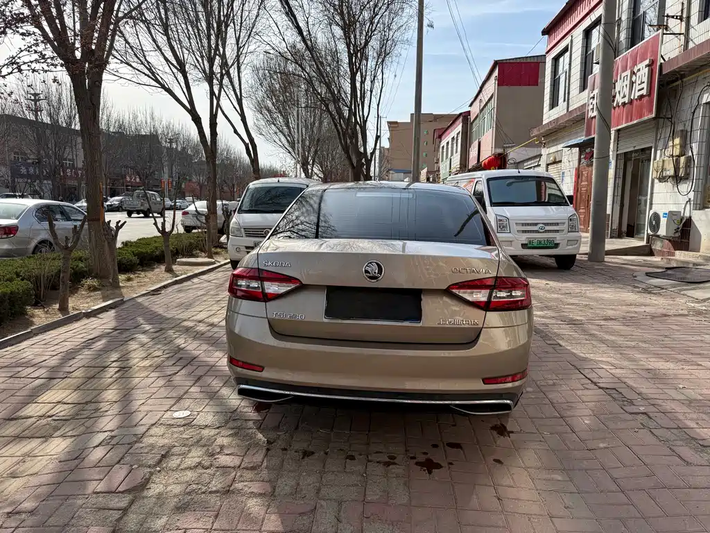 Octavia 2018 TSI230 DSG Deluxe Edition купить на сайте DeffCars