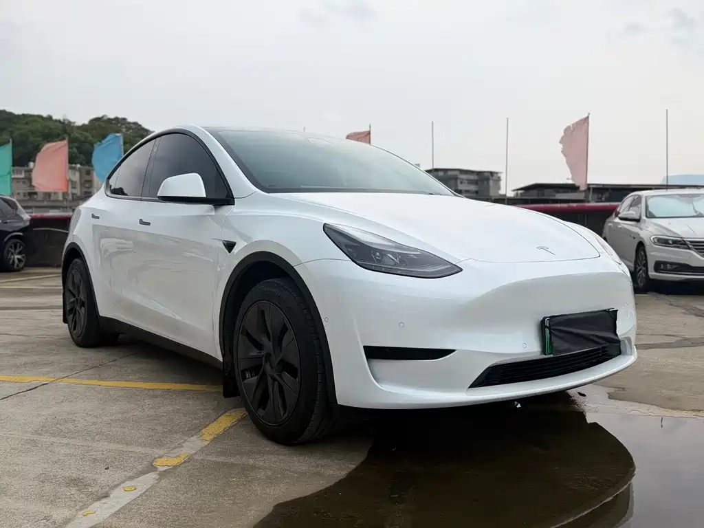 Model Y 2023 rear-wheel drive version купить на сайте DeffCars
