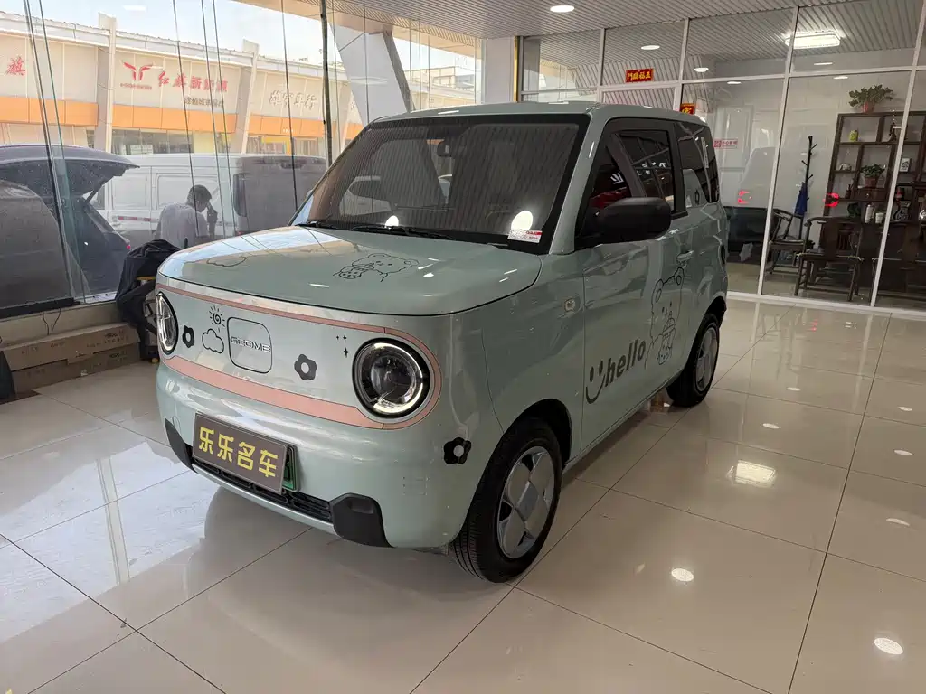 Panda 2024 Panda mini 200km endurance bear купить на сайте DeffCars