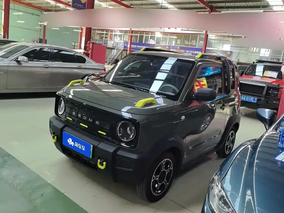 Panda 2025 Panda mini 210km Yuanqi Bear купить на сайте DeffCars