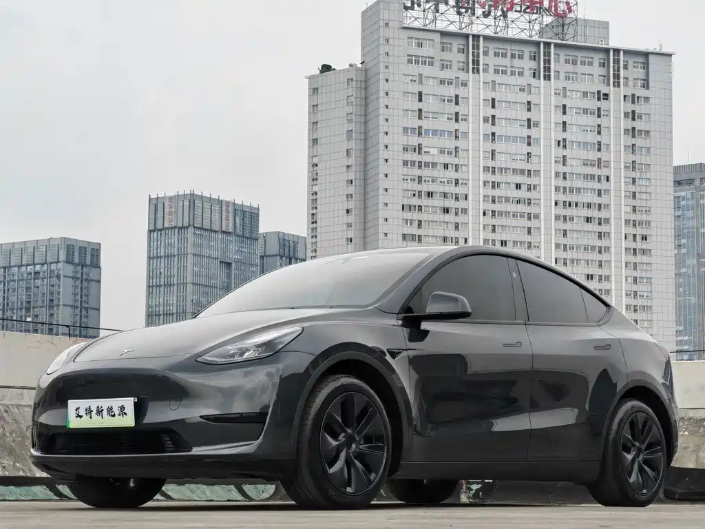 Model Y 2024 rear-wheel drive version купить на сайте DeffCars