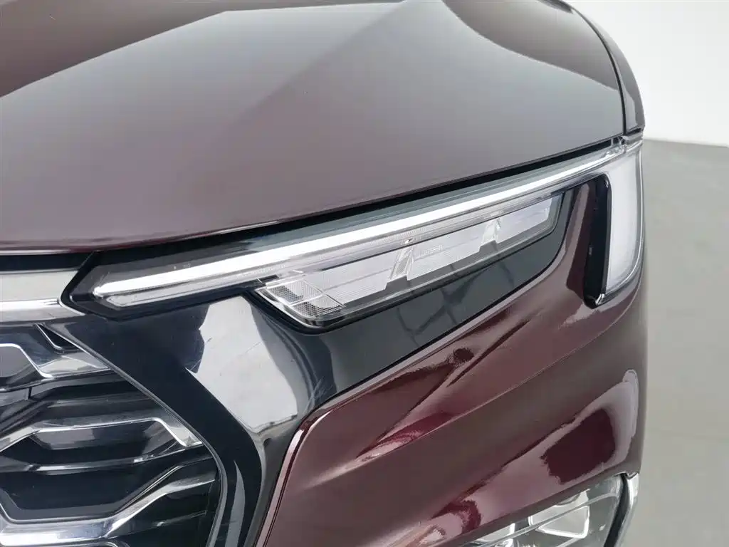 Lingyu 2021 EcoBoost 225 Collar Type 6 Seats купить на сайте DeffCars