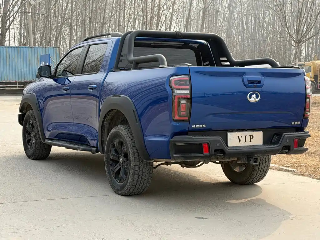 Cannon 2021 2.0T off-road version automatic gasoline four-wheel drive Everest version GW4C20B купить на сайте DeffCars