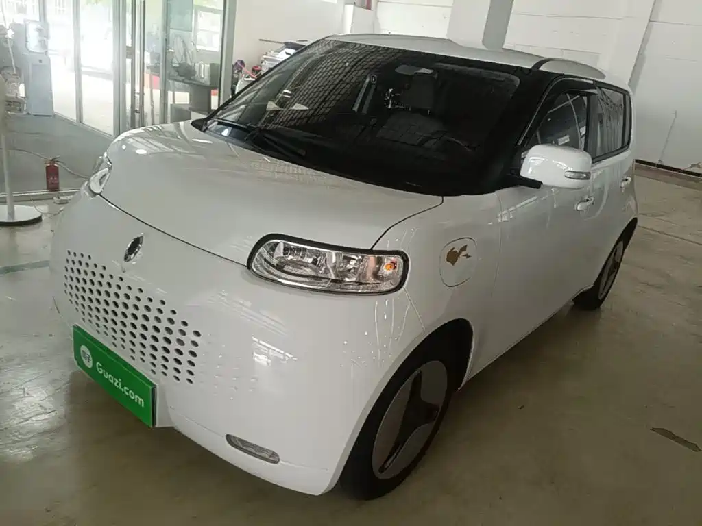 Euler White Cat 2020 360km luxury model купить на сайте DeffCars
