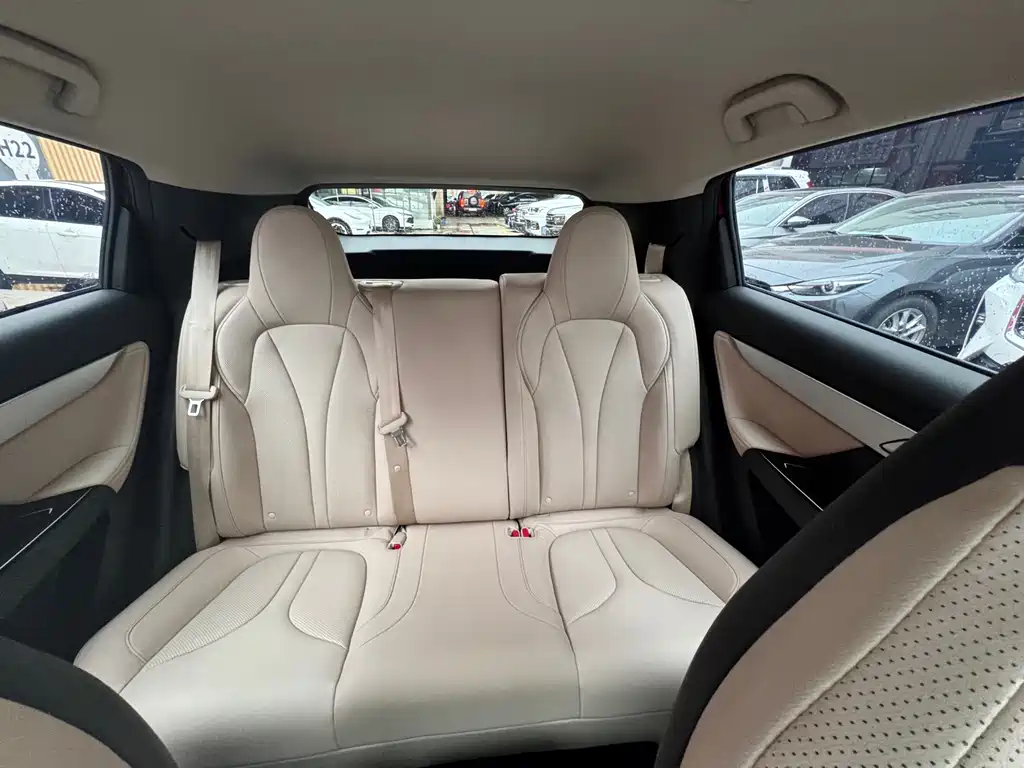 Xpeng G3 2020 520 Exclusive Edition купить на сайте DeffCars