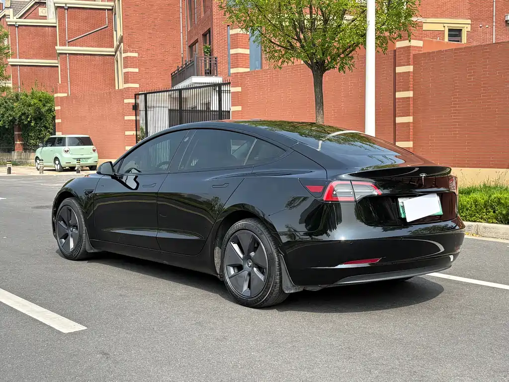 Model 3 2022 rear-wheel drive version купить на сайте DeffCars