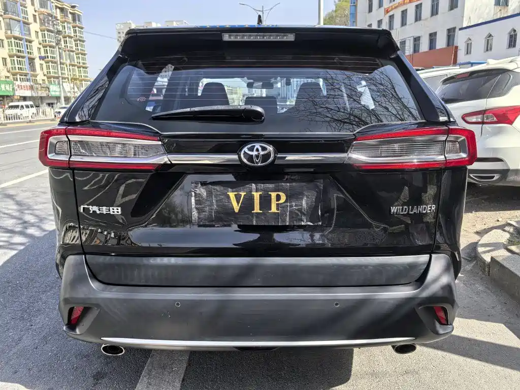 Wilanda 2022 2.0L CVT two-wheel drive luxury version купить на сайте DeffCars