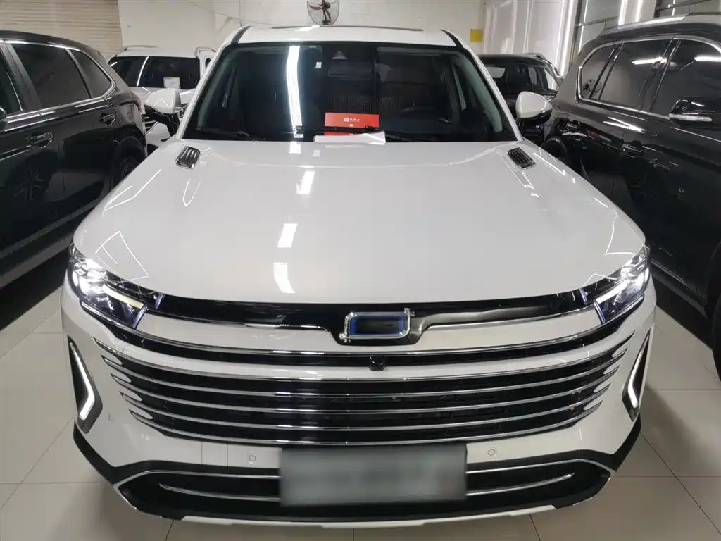 Pentium T99 2023 2.0T automatic premium model купить на сайте DeffCars