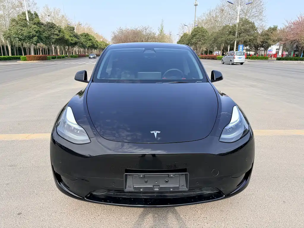 Model Y 2023 rear-wheel drive version купить на сайте DeffCars