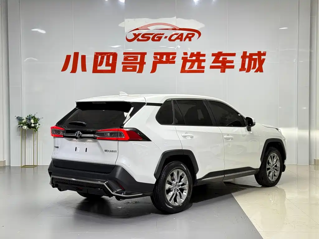 Wilanda 2020 2.0L CVT two-wheel drive luxury version купить на сайте DeffCars
