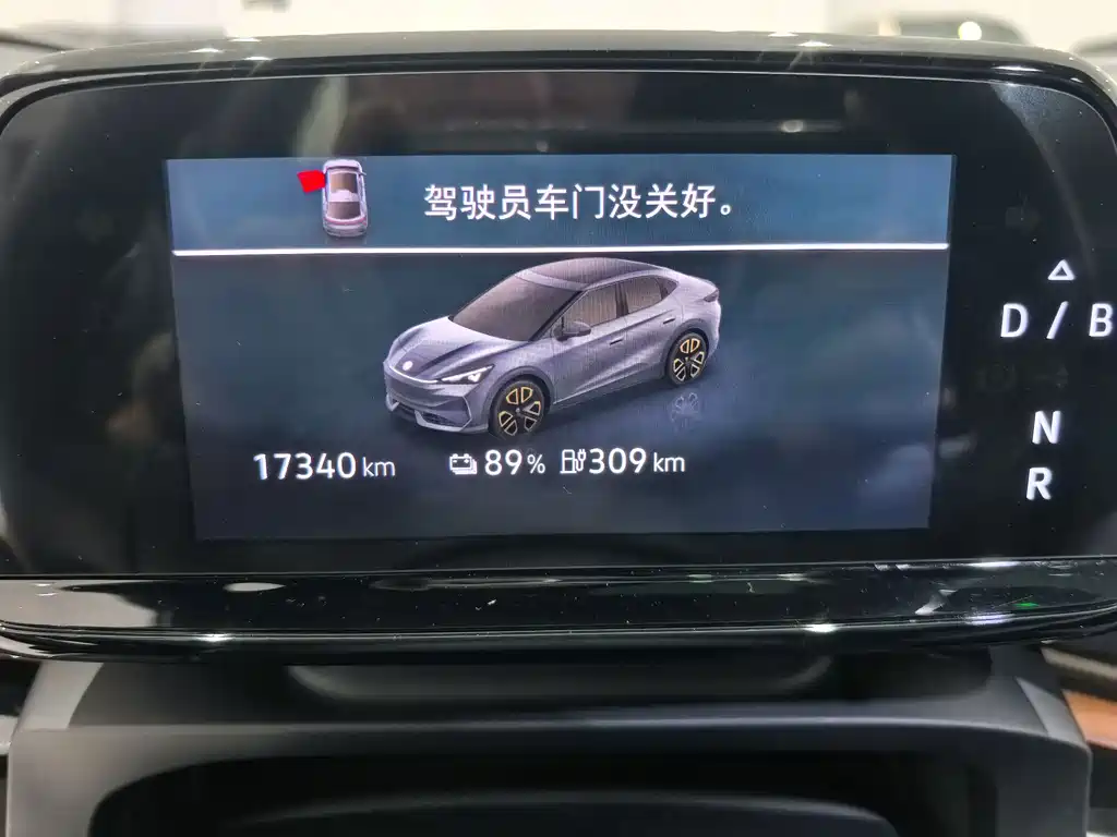 Youzhong 06 2025 Pure купить на сайте DeffCars