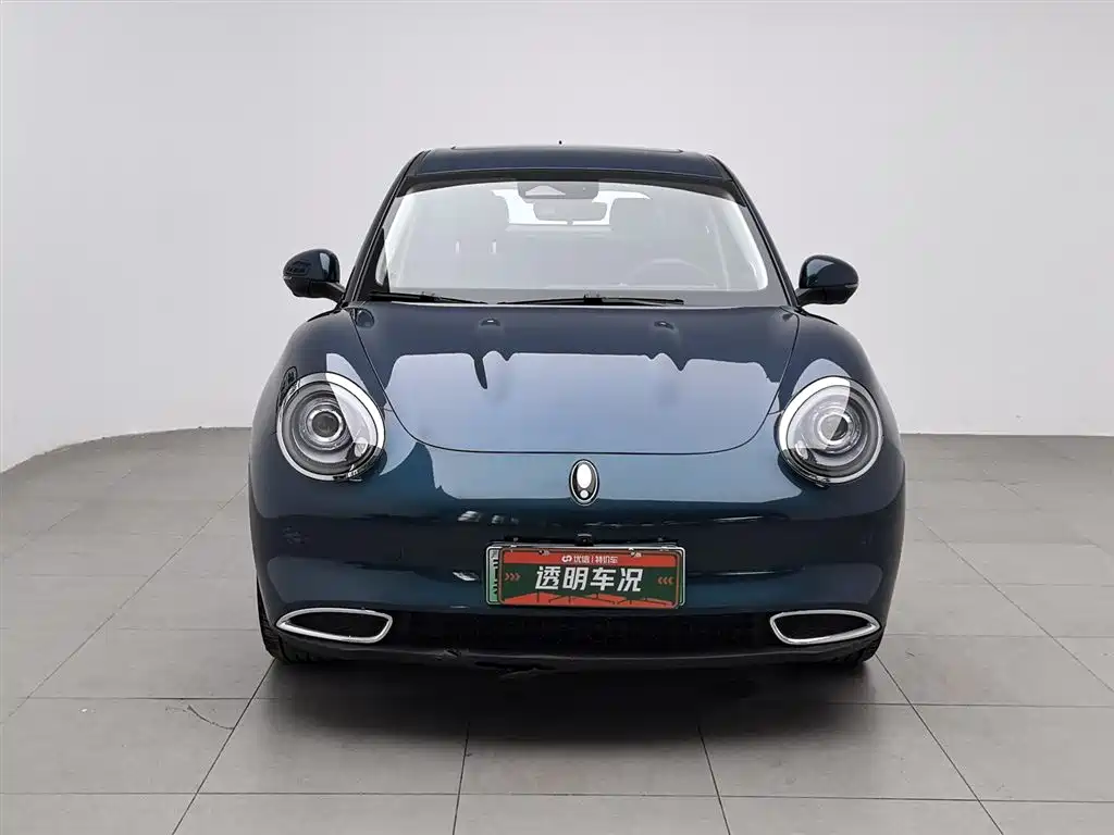 Euler Good Cat 2024 Model 401km Luxury Model купить на сайте DeffCars