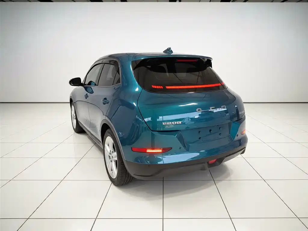 Euler Good Cat 2023 model 401km standard battery life luxury model lithium iron phosphate купить на сайте DeffCars