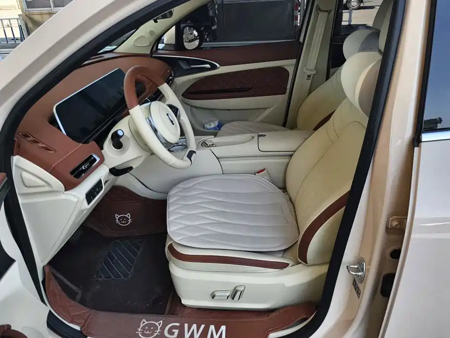 Euler Good Cat 2024 Model 401km Luxury Model купить на сайте DeffCars