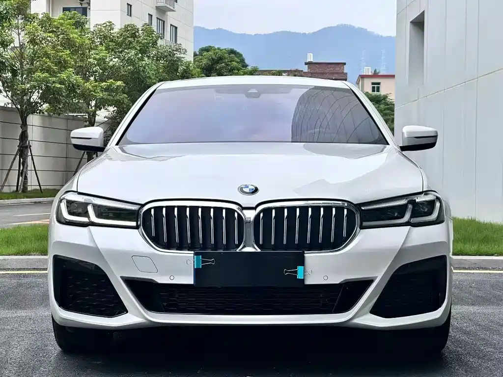 BMW 5 Series 2020 530Li Leading M Sports Package купить на сайте DeffCars