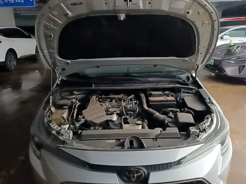 Ralink 2019 185T CVT Sports Edition National VI купить на сайте DeffCars