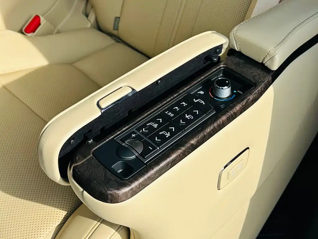 Wilfa 2020 Shuangqing 2.5L Black Gold Limited Edition купить на сайте DeffCars