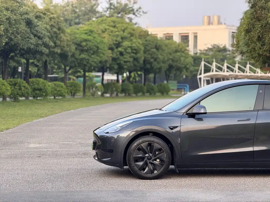 Model Y 2024 rear-wheel drive version купить на сайте DeffCars