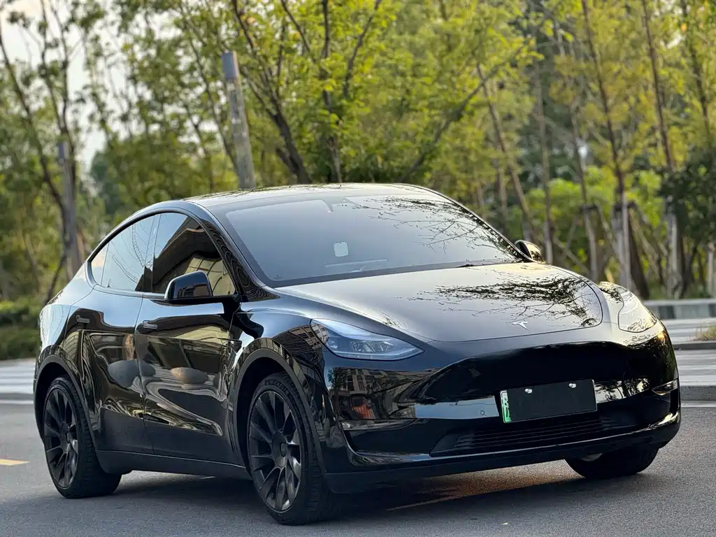 Model Y 2022 rear-wheel drive version купить на сайте DeffCars