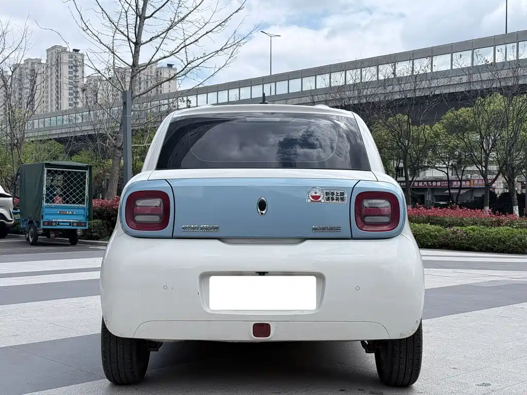 Euler Black Cat 2021 351km luxury model купить на сайте DeffCars