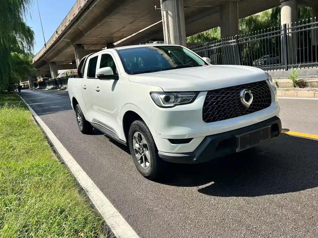 Cannon 2021 2.0T commercial version automatic diesel four-wheel drive elite long box GW4D20M купить на сайте DeffCars
