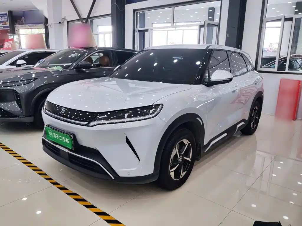 Yuan UP 2025 model 301KM pilot type купить на сайте DeffCars