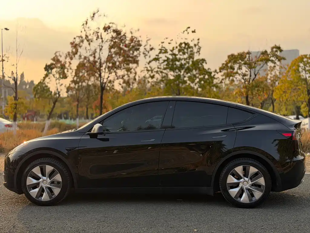 Model Y 2023 rear-wheel drive version купить на сайте DeffCars