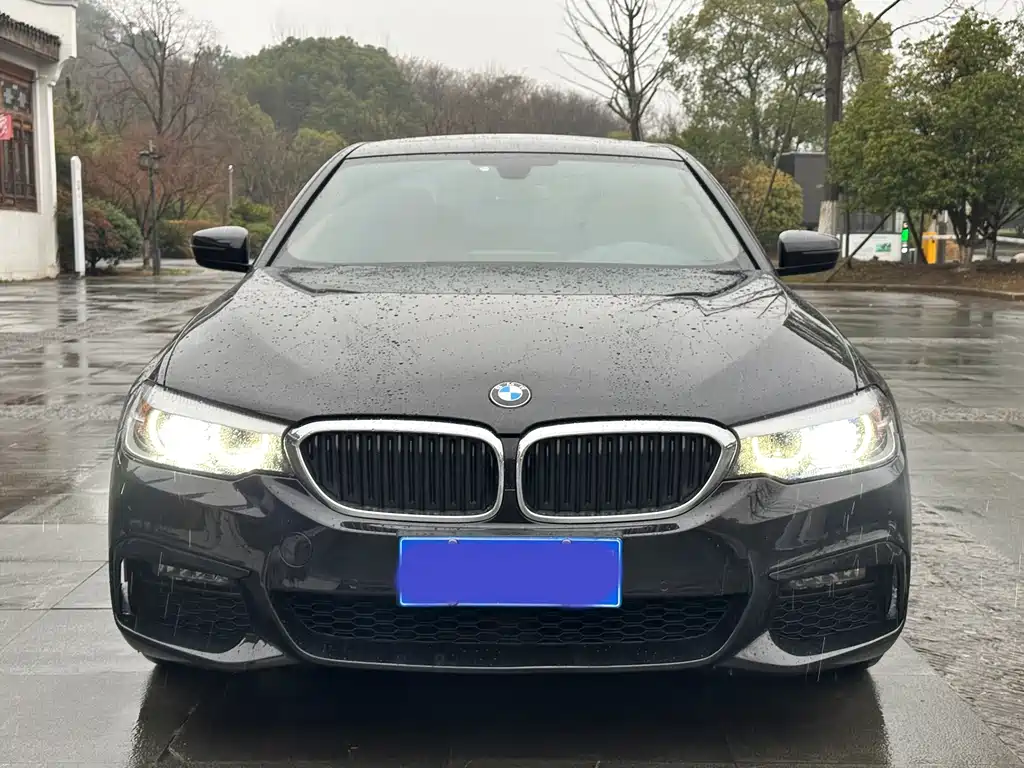 BMW 5 Series 2019 530Li Leading M Sports Package купить на сайте DeffCars