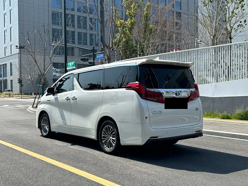 Alfa 2021 Shuangqing 2.5L Premium Edition купить на сайте DeffCars