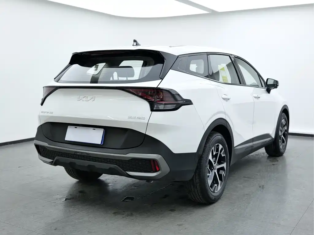 Lion Expands the World 2025 1.5T Two-wheel Drive Premium Intelligent Edition купить на сайте DeffCars