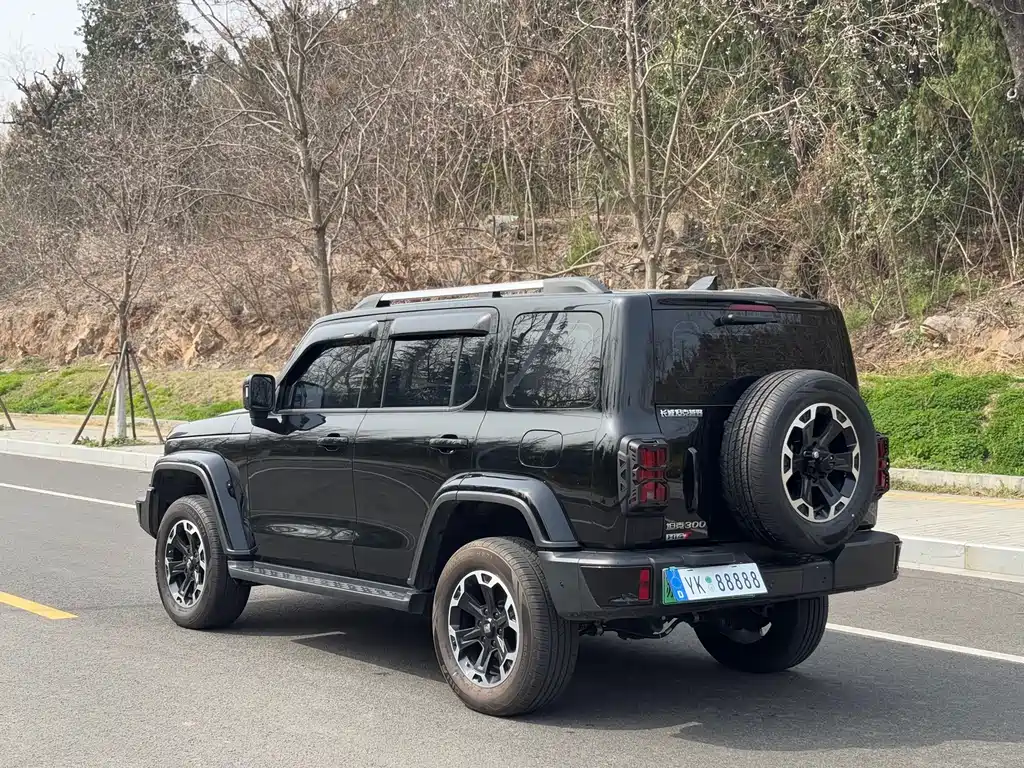 Tank 300 New Energy 2025 Hi4-T 37.1kWh купить на сайте DeffCars