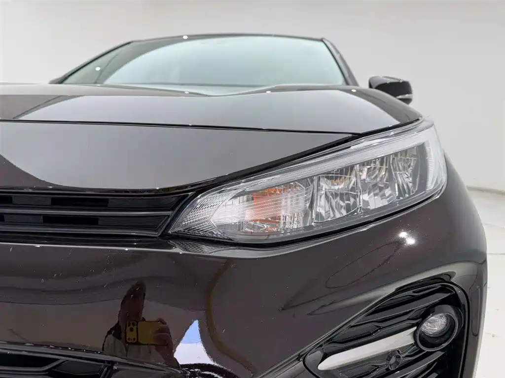Wilanda 2020 2.0L CVT two-wheel drive luxury version купить на сайте DeffCars