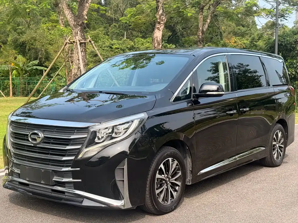 Trumpchi M8 2023 Lead Show Series 390T Exclusive Edition купить на сайте DeffCars