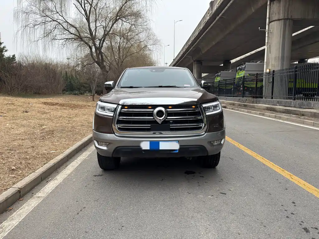 Cannon 2019 2.0T automatic gasoline four-wheel drive exclusive version GW4C20B купить на сайте DeffCars