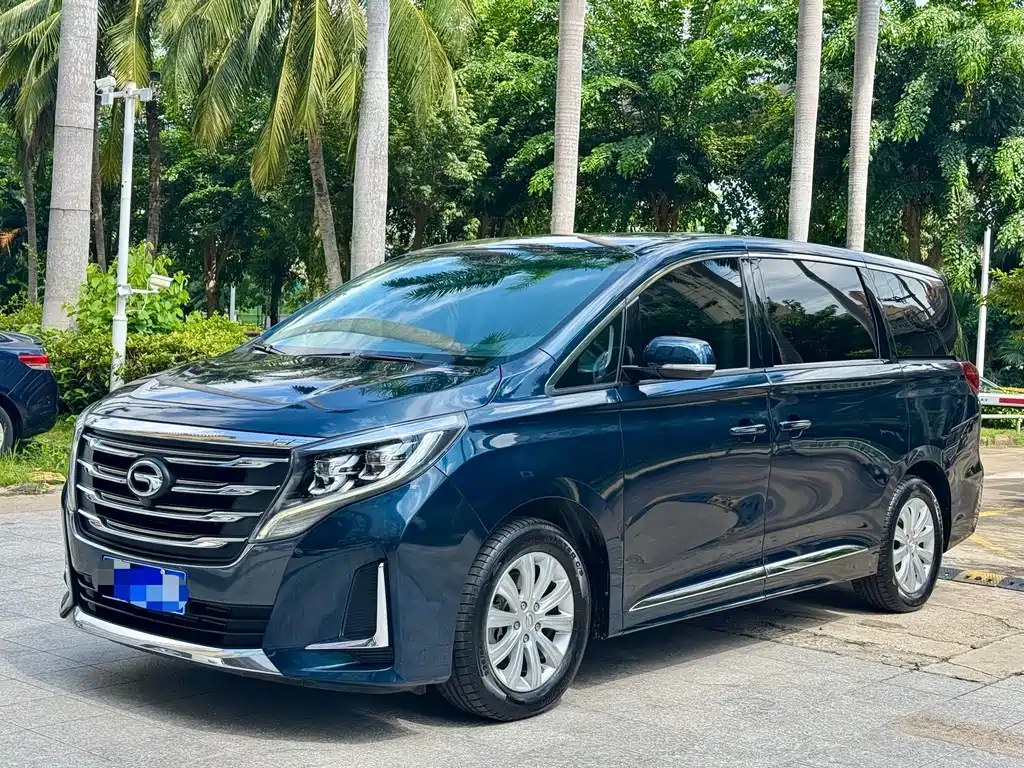 Trumpchi M8 2020 Pilot Model 390T Exclusive Edition купить на сайте DeffCars