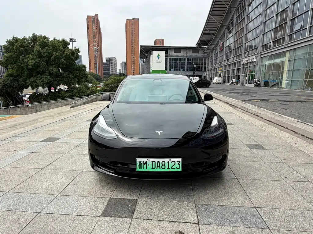 Model 3 2021 Standard Range Rear Drive Upgraded Version купить на сайте DeffCars