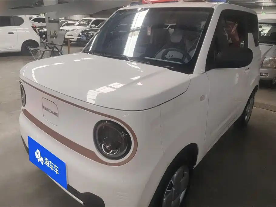 Panda 2024 Panda mini 200km endurance bear купить на сайте DeffCars