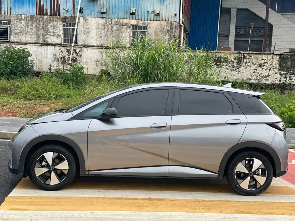 Dolphin 2024 Honor Edition 420km Free купить на сайте DeffCars
