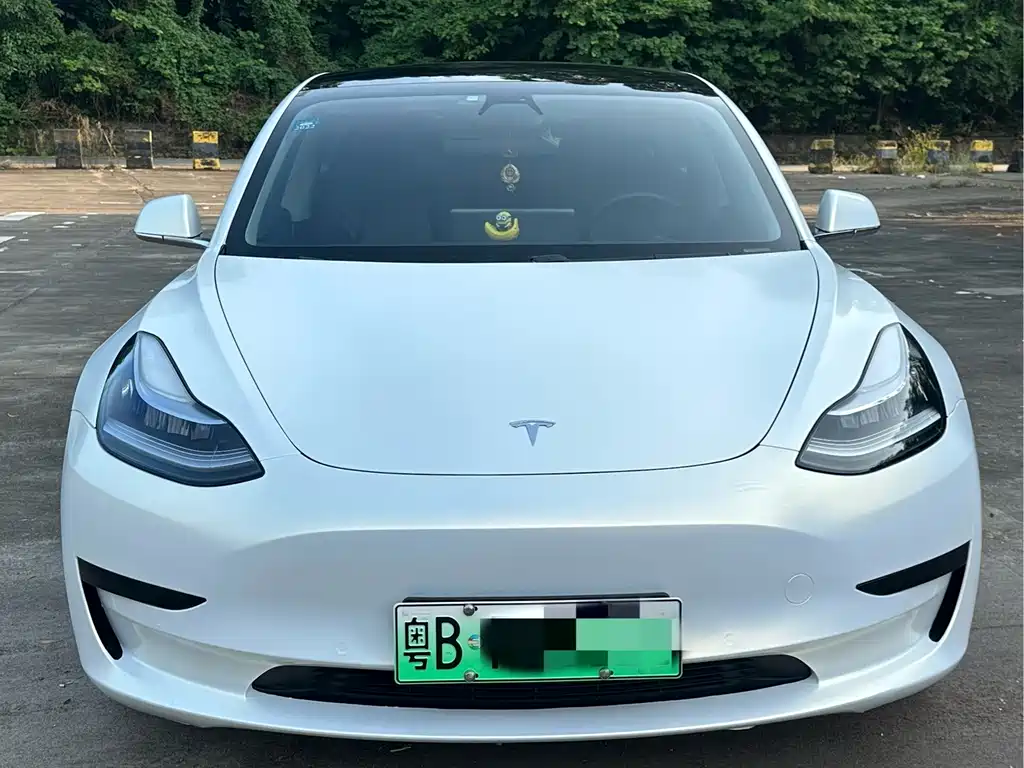 Model 3 2020 Standard Range Rear Drive Upgraded Version купить на сайте DeffCars