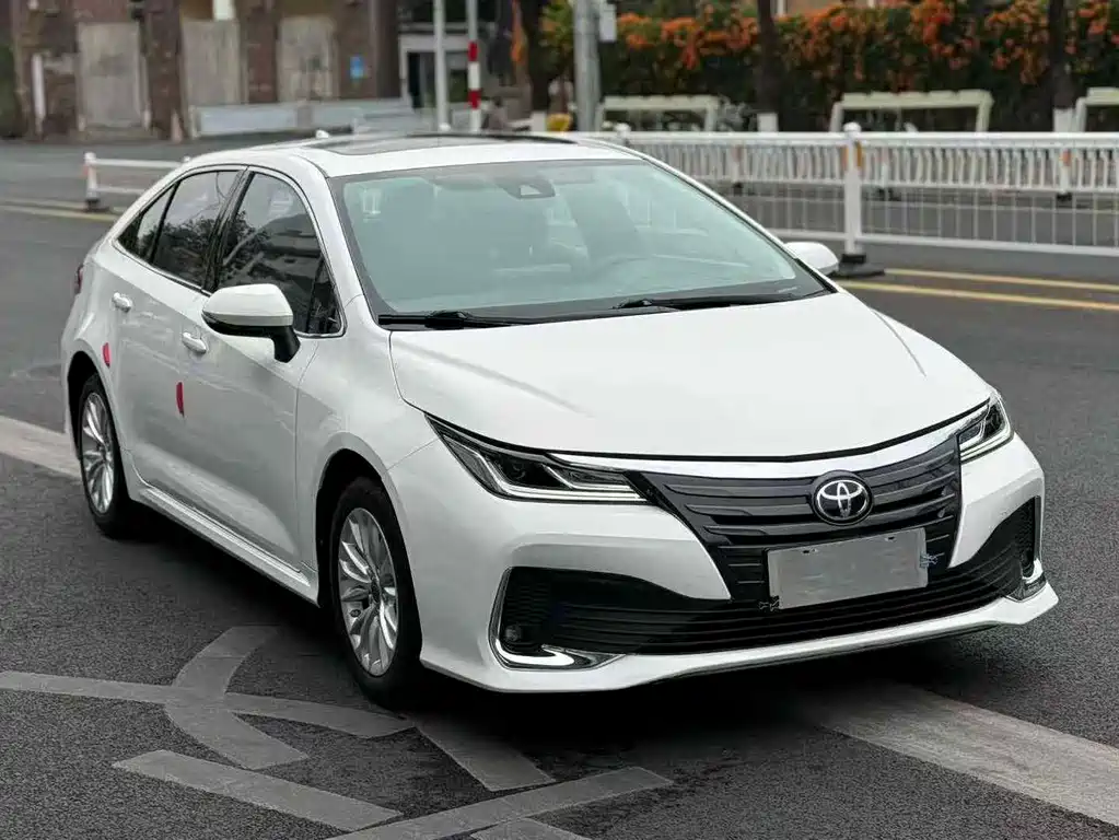 Asia Lion 2021 2.0L Advanced Edition купить на сайте DeffCars