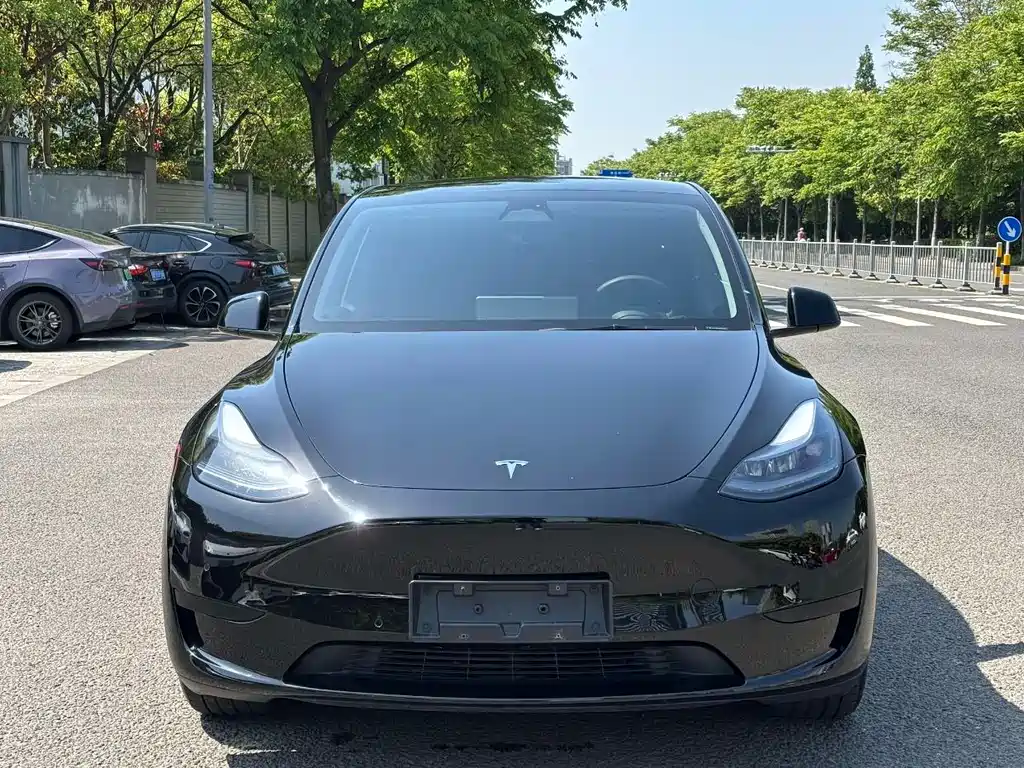 Model Y 2024 rear-wheel drive version купить на сайте DeffCars