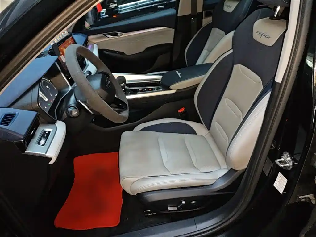 Xingrui 2021 facelift 2.0TD premium model купить на сайте DeffCars