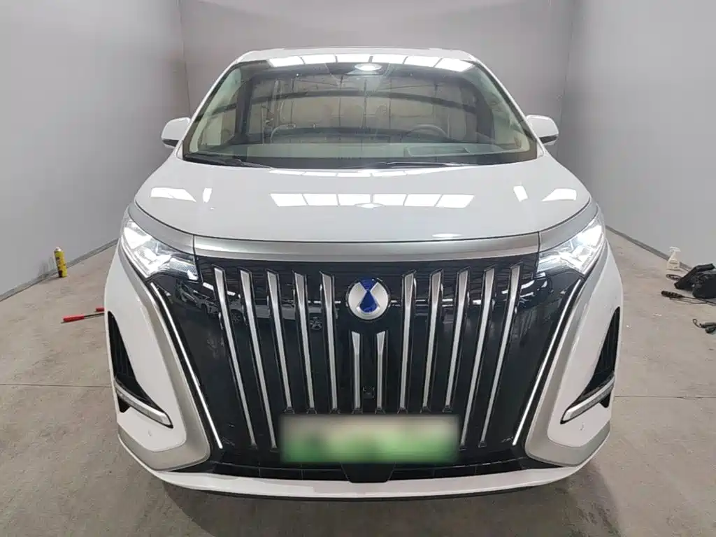 Denza D9 2022 EV 600 four-wheel drive premium model купить на сайте DeffCars