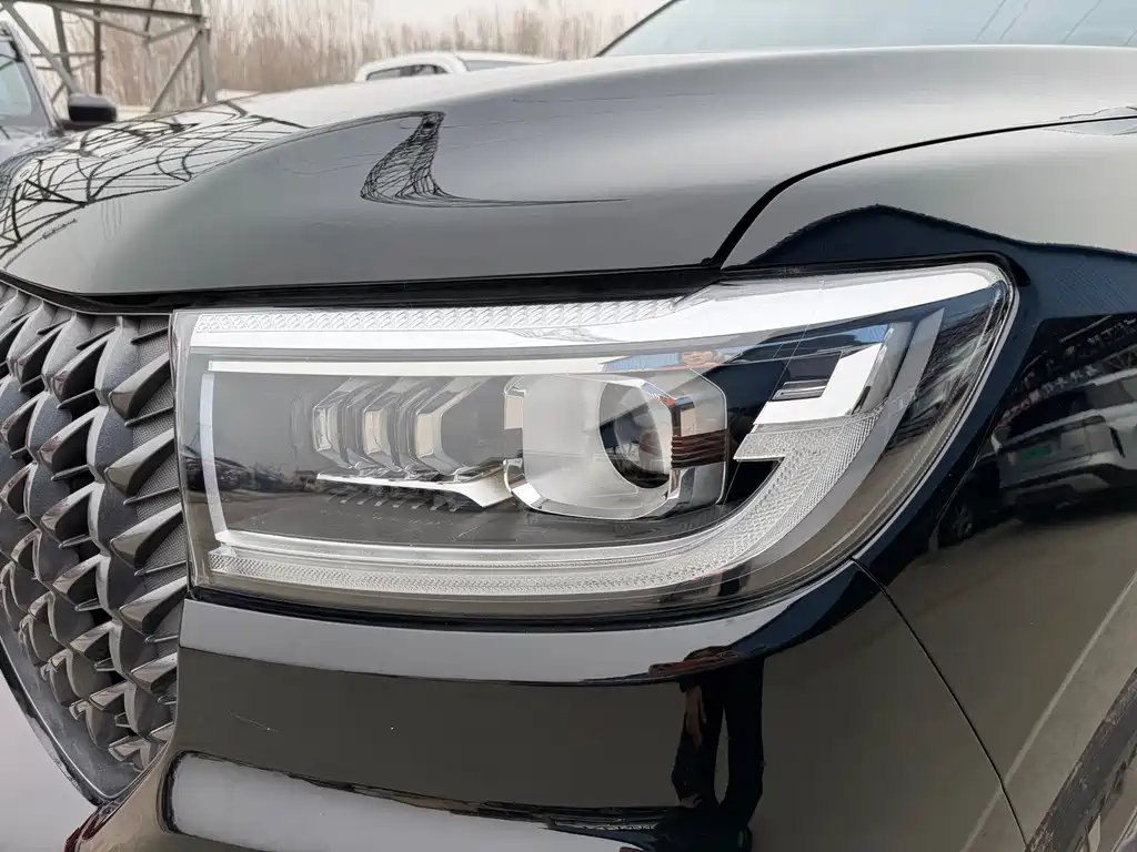 Cannon 2024 2.4T commercial version automatic diesel four-wheel drive elite type купить на сайте DeffCars