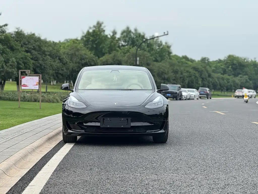 Model 3 2021 facelift standard range rear drive upgraded version 3D1 купить на сайте DeffCars