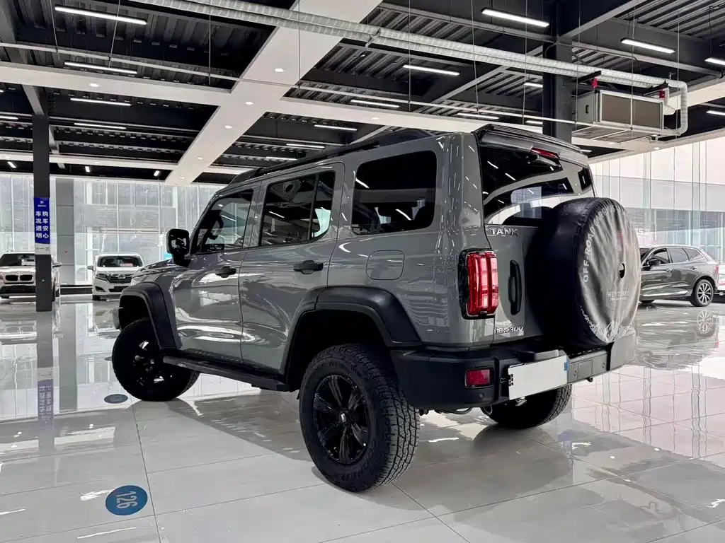 Tank 300 2021 Off-Road Version 2.0T Conqueror купить на сайте DeffCars