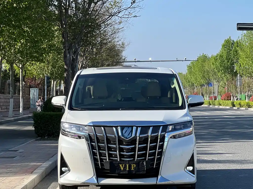 Alfa 2021 Dual Engine 2.5L Deluxe Edition купить на сайте DeffCars