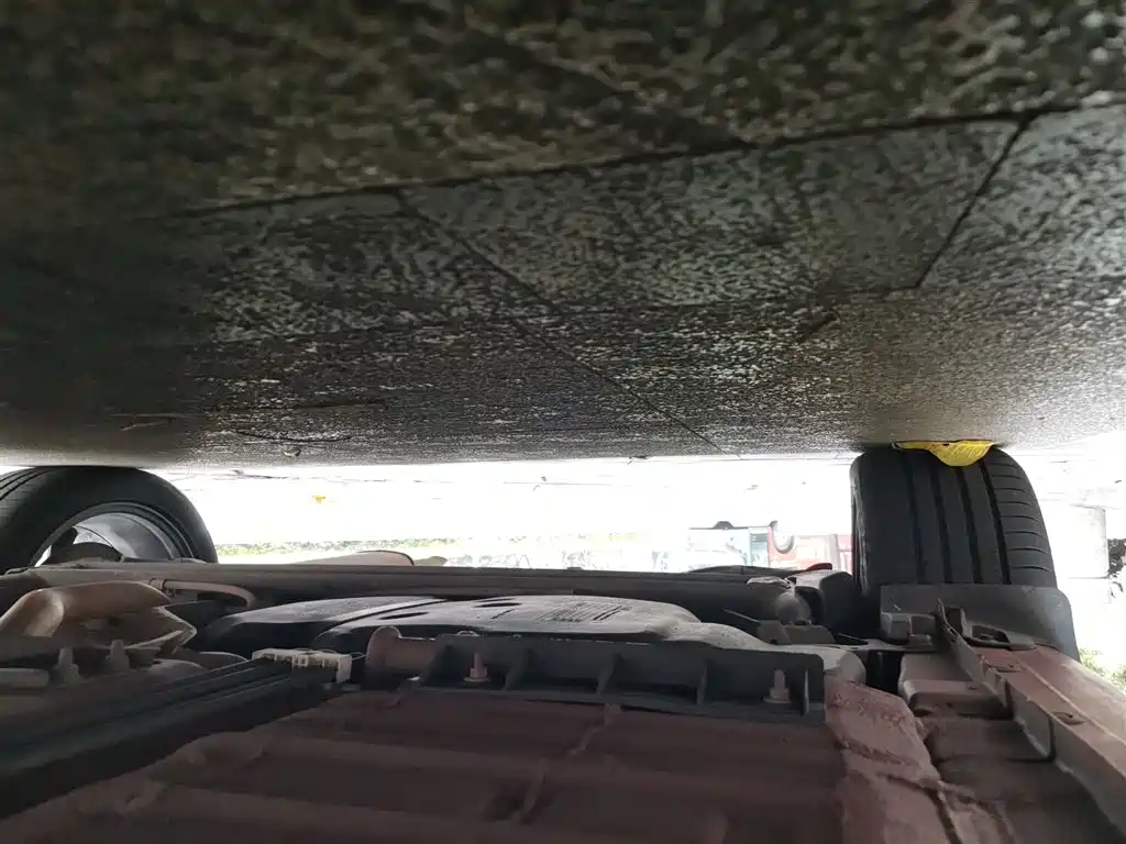 Blue Bird 2019 1.6L CVT Intelligent Cool Edition National V купить на сайте DeffCars